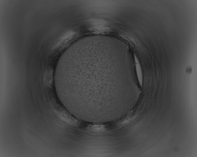 X0000091650554200708301420
