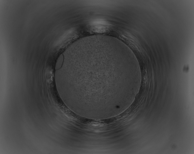 X0000091650555200708301420