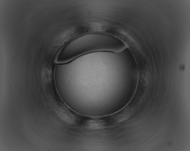 X0000091650556200708301421