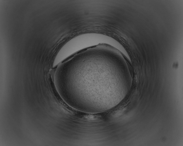 X0000091650558200708301421