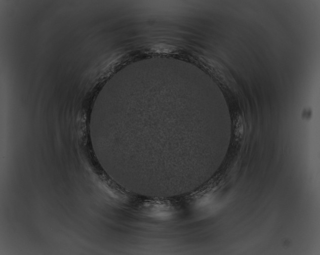 X0000091650559200708301421
