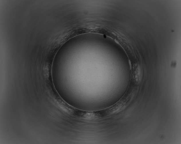 X0000091650562200708301421