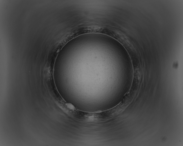 X0000091650564200708301421