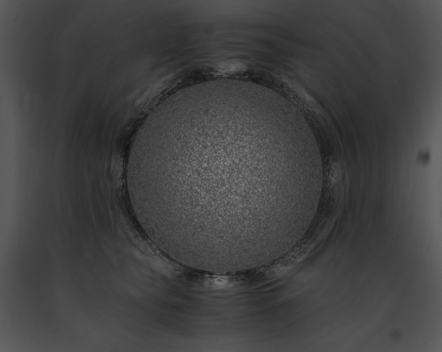 X0000091650565200708301421