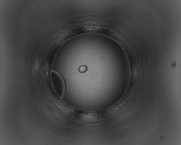 X0000091650567200708301421