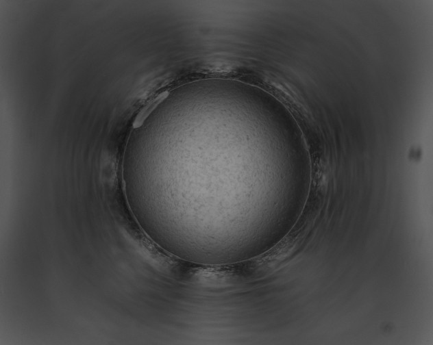 X0000091650568200708301421