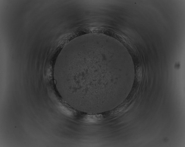 X0000091650571200708301421