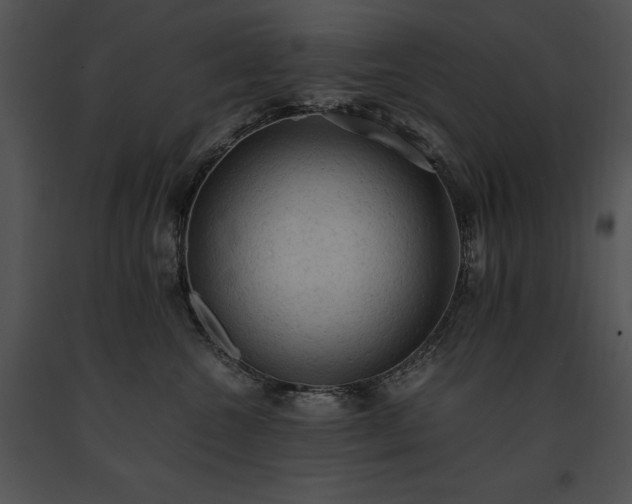 X0000091650572200708301421