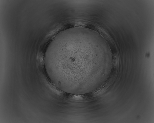 X0000091650573200708301421