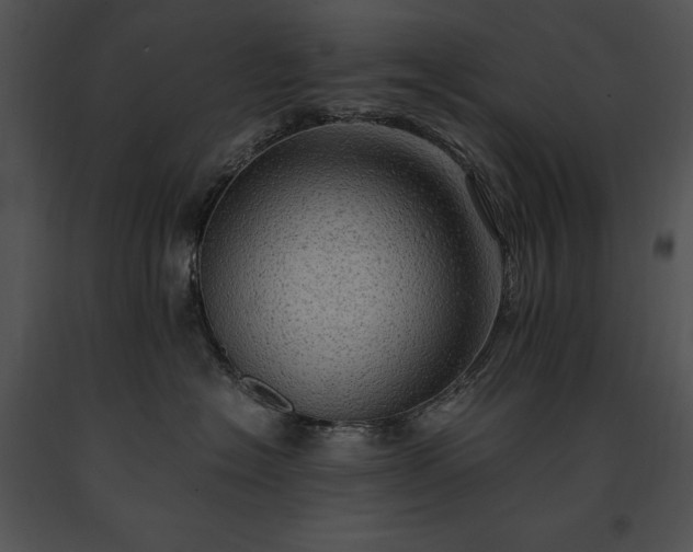 X0000091650574200708301421