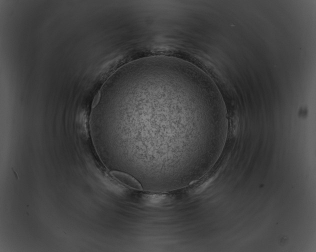 X0000091650575200708301421
