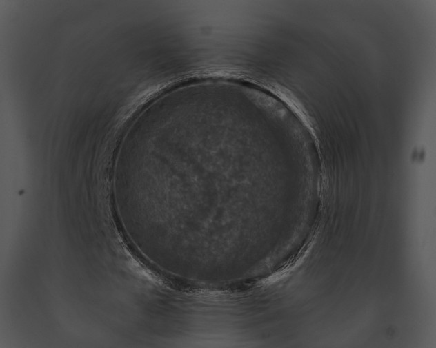 X0000091650577200708301420