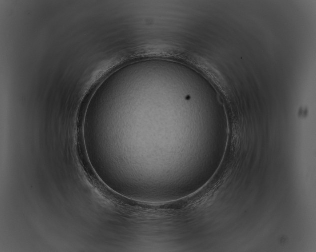 X0000091650578200708301420