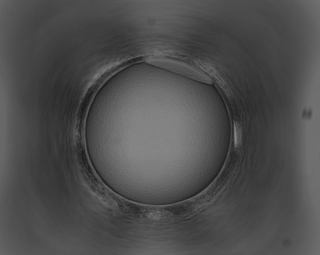 X0000091650579200708301420