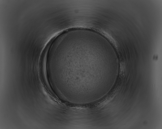 X0000091650580200708301420