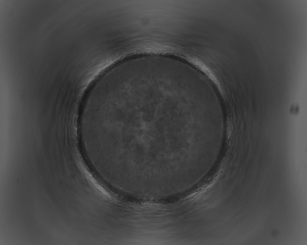 X0000091650581200708301420