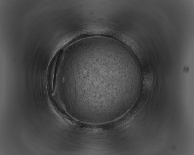 X0000091650582200708301420