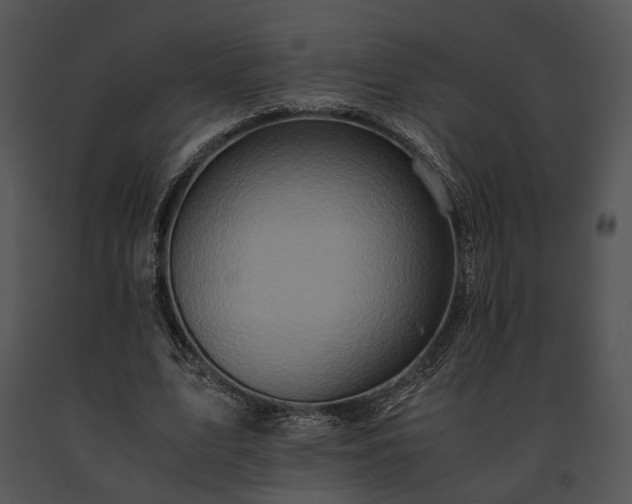 X0000091650583200708301420