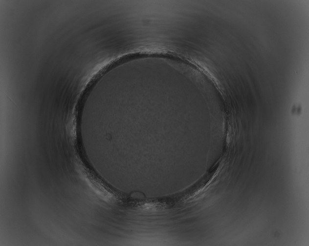 X0000091650584200708301420