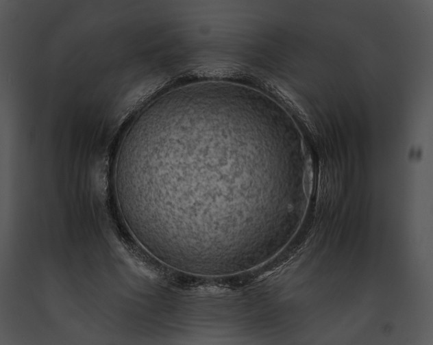 X0000091650586200708301420
