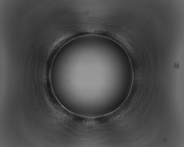 X0000091650587200708301420