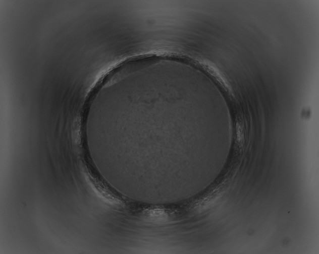 X0000091650588200708301420