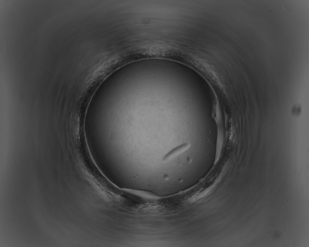 X0000091650589200708301420