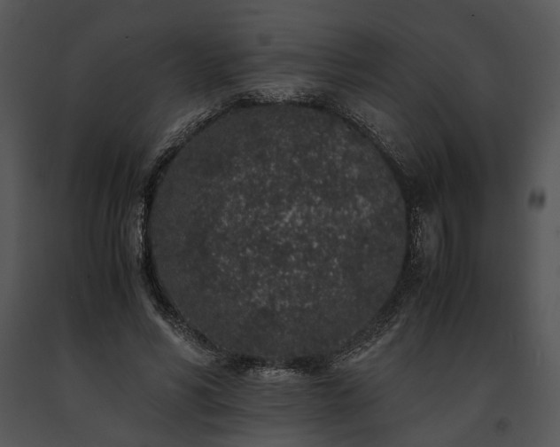 X0000091650590200708301420