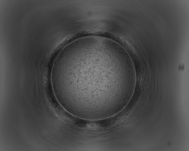 X0000091650591200708301420