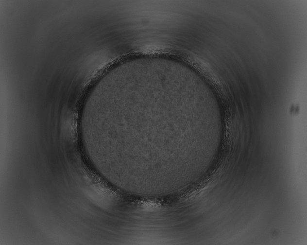 X0000091650592200708301420