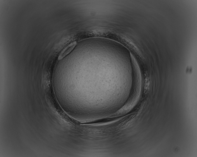 X0000091650593200708301420