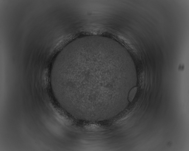 X0000091650594200708301420