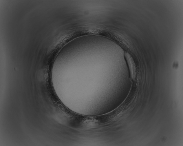 X0000091650595200708301420