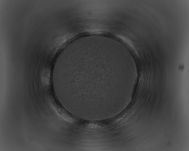 X0000091650596200708301420