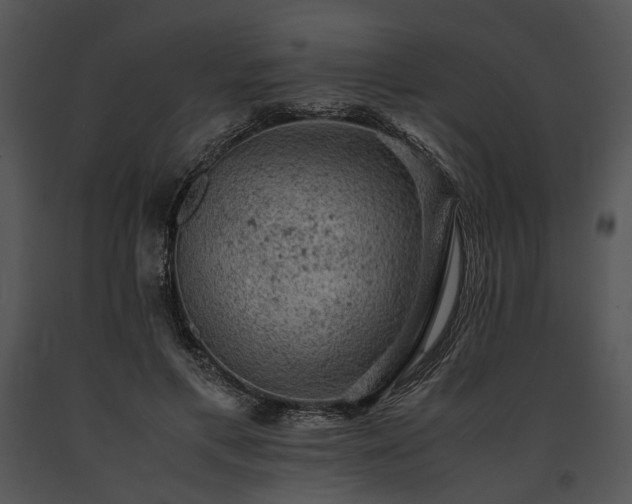 X0000091650597200708301420