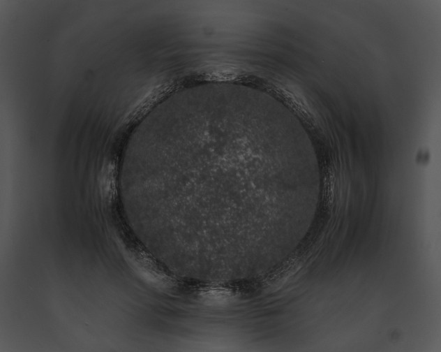 X0000091650598200708301420