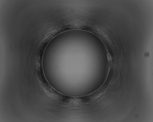 X0000091650599200708301420