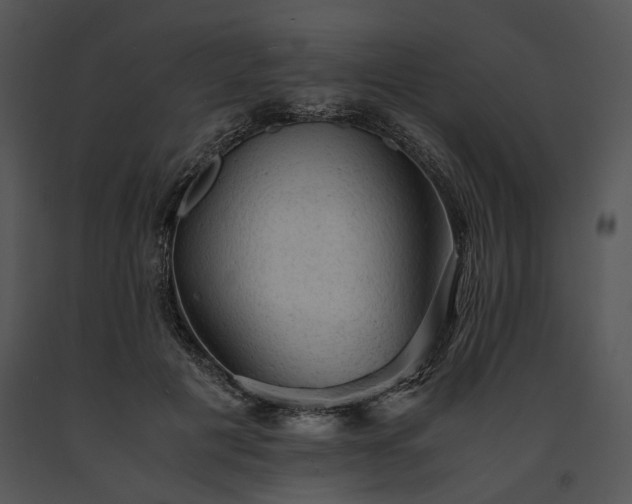 X0000091650601200708301420