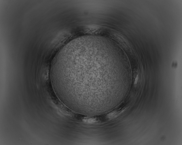 X0000091650602200708301420
