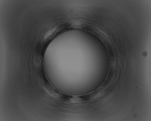 X0000091650603200708301420