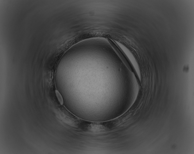 X0000091650605200708301420