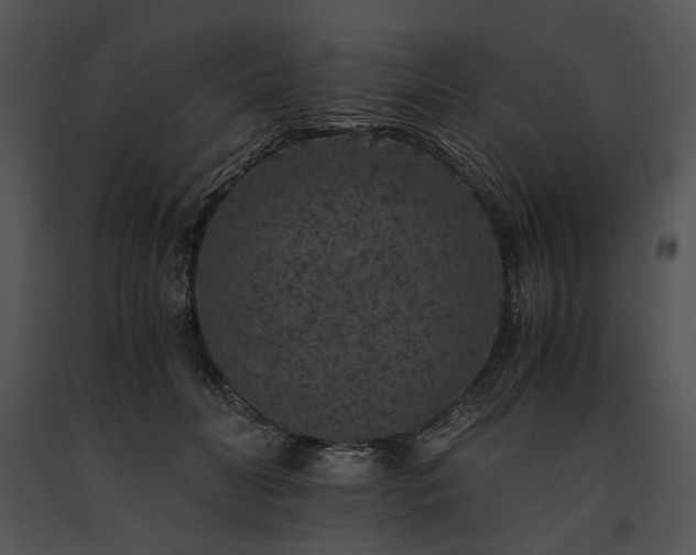 X0000091650606200708301420