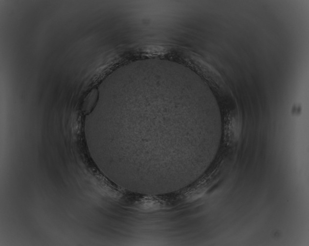 X0000091650608200708301420