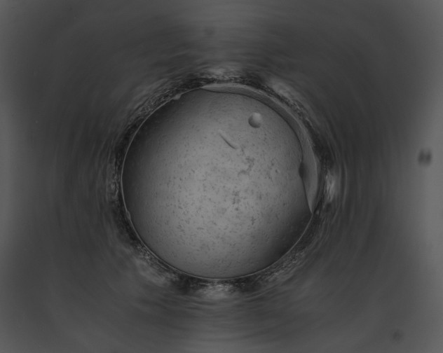 X0000091650609200708301420