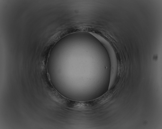 X0000091650611200708301420