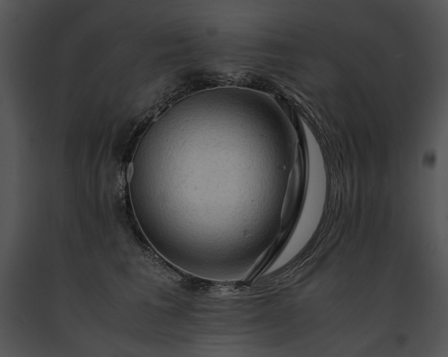 X0000091650613200708301420