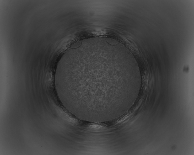 X0000091650614200708301420