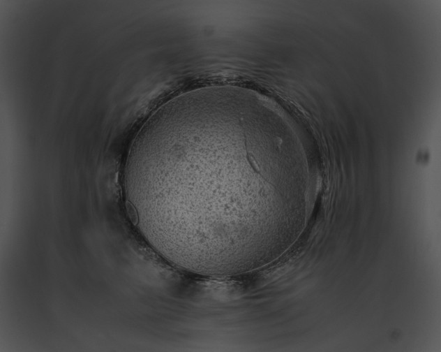 X0000091650615200708301420