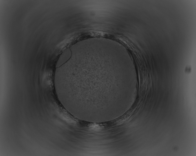 X0000091650616200708301420