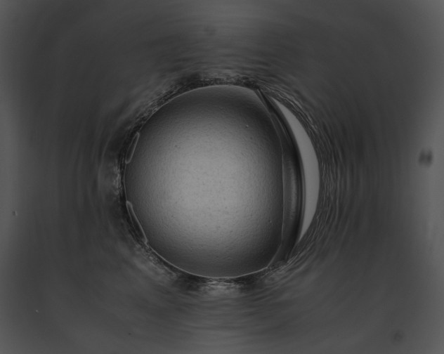 X0000091650617200708301420
